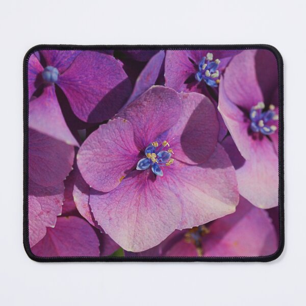 Item preview, Pink Hydrangea Close  designed and sold by Joy Watson - Natural Light Photography .