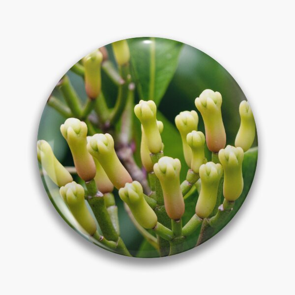 Item preview, Cloves at the tree designed and sold by Ronenvief.