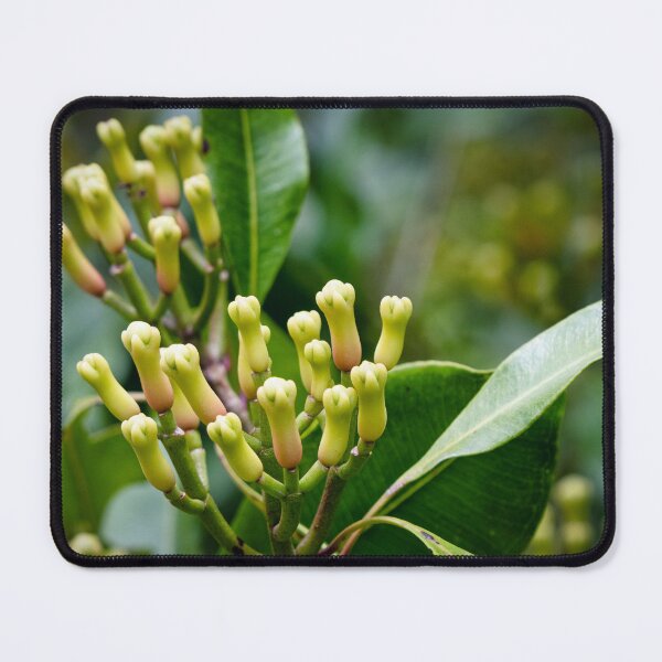 Item preview, Cloves at the tree designed and sold by Ronenvief.
