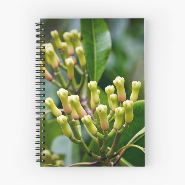 Item preview, Cloves at the tree designed and sold by Ronenvief.