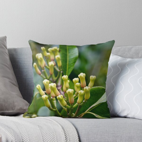 Item preview, Cloves at the tree designed and sold by Ronenvief.
