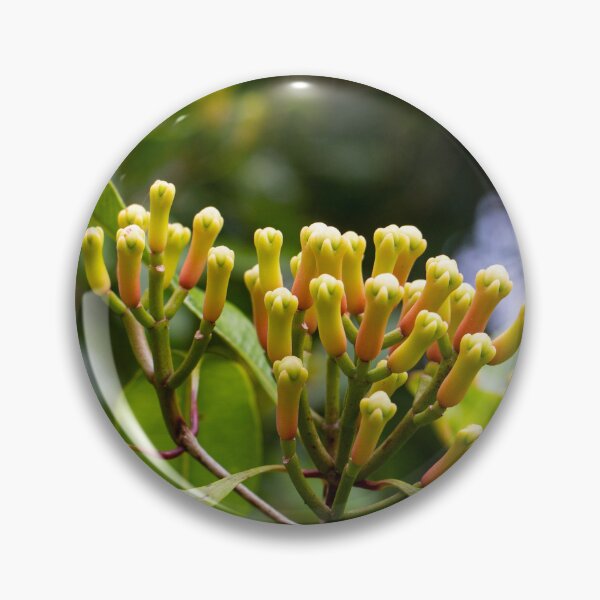 Item preview, cloves at the tree designed and sold by Ronenvief.