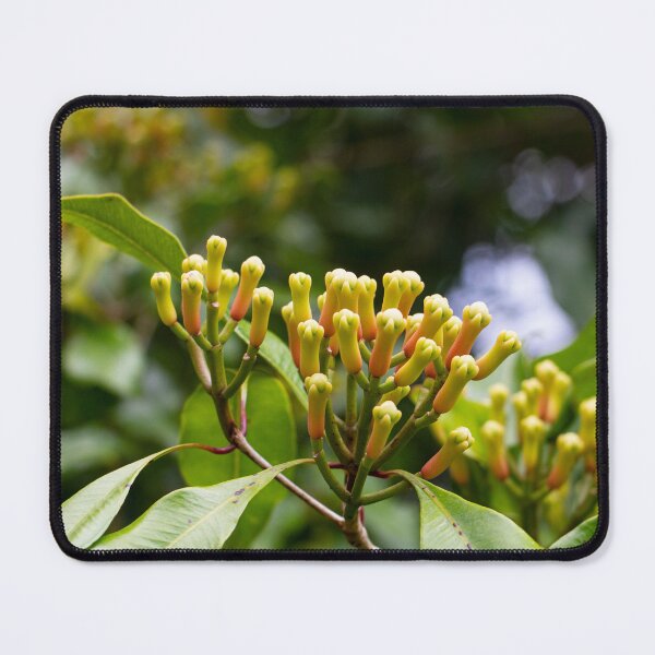 Item preview, cloves at the tree designed and sold by Ronenvief.