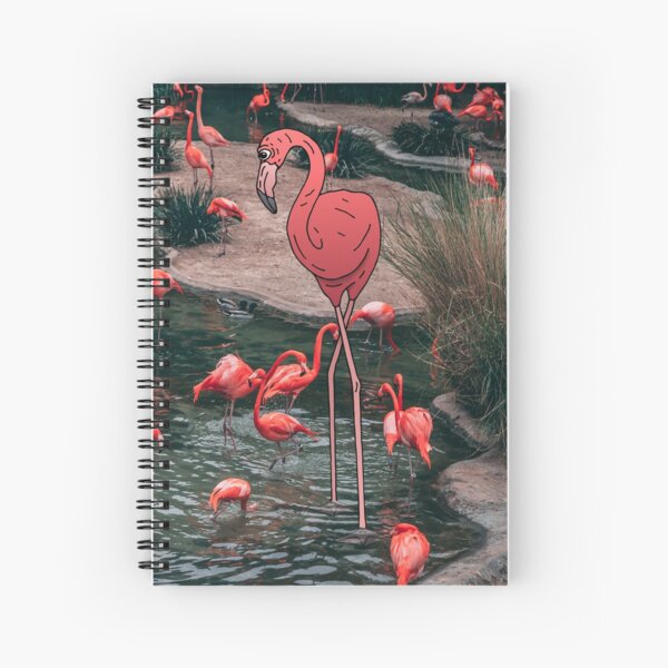 Flamingo Spiral Notebook