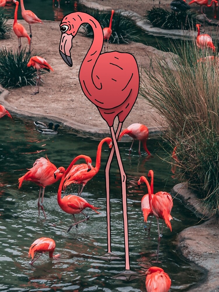 Flamingo by bekome