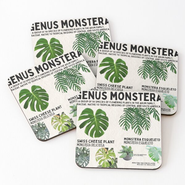 Item preview, Monstera Species Plants Scientific Diagram  designed and sold by wesleykshaver.