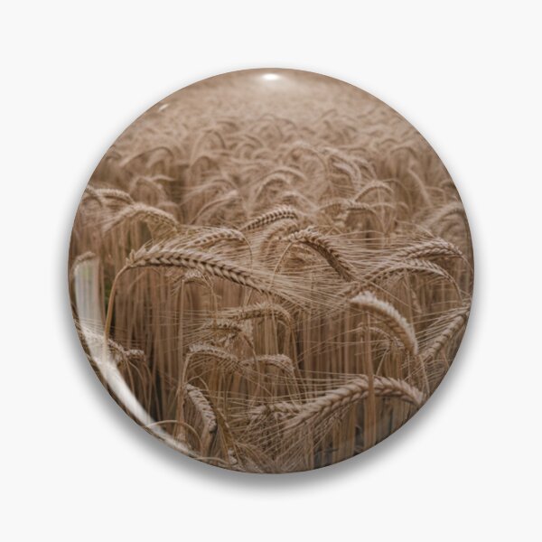 Item preview, Wheat Field designed and sold by AnthonyThomas.