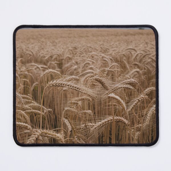 Item preview, Wheat Field designed and sold by AnthonyThomas.