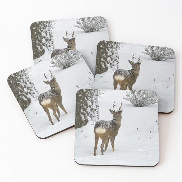 Item preview, Forward or backward where shoud I go. Roe deer designed and sold by Jouko Lehto Photography.