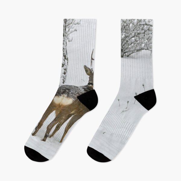 Item preview, Forward or backward where shoud I go. Roe deer designed and sold by Jouko Lehto Photography.