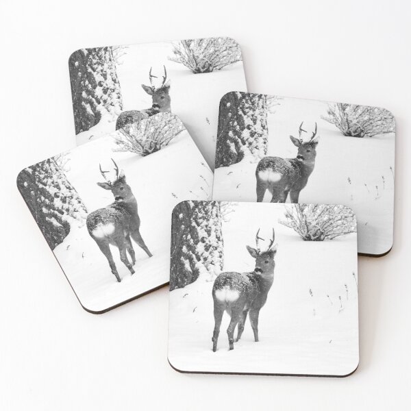 Item preview, Forward or backward where shoud I go. Roe deer bw designed and sold by Jouko Lehto Photography.