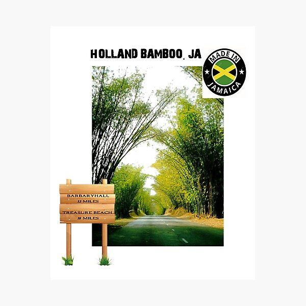Item preview, Location Holland Bamboo, St Elizabeth designed and sold by ReggaeUrban.