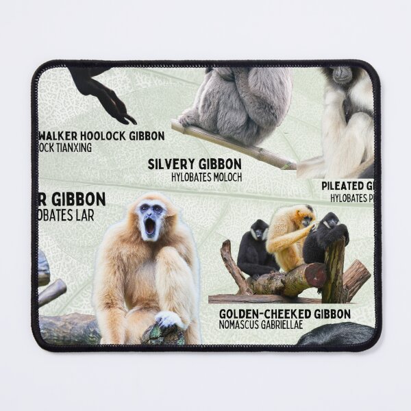 Item preview, Gibbons of the world Siamangs Lar gibbons javan Gibbon hoolock gibbon designed and sold by wesleykshaver.