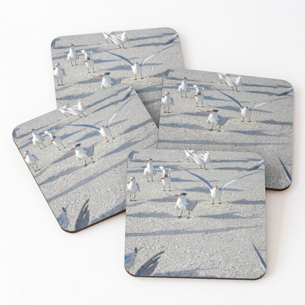 Item preview, Royal Terns designed and sold by Craig Bernstein.