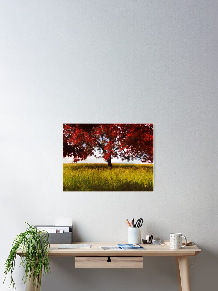 Thumbnail 2 of 3, Poster, The Red Tree designed and sold by believer9.