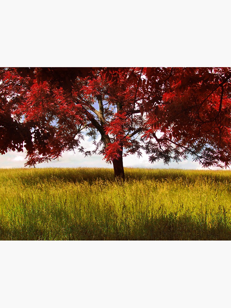 Thumbnail 3 of 3, Poster, The Red Tree designed and sold by believer9.