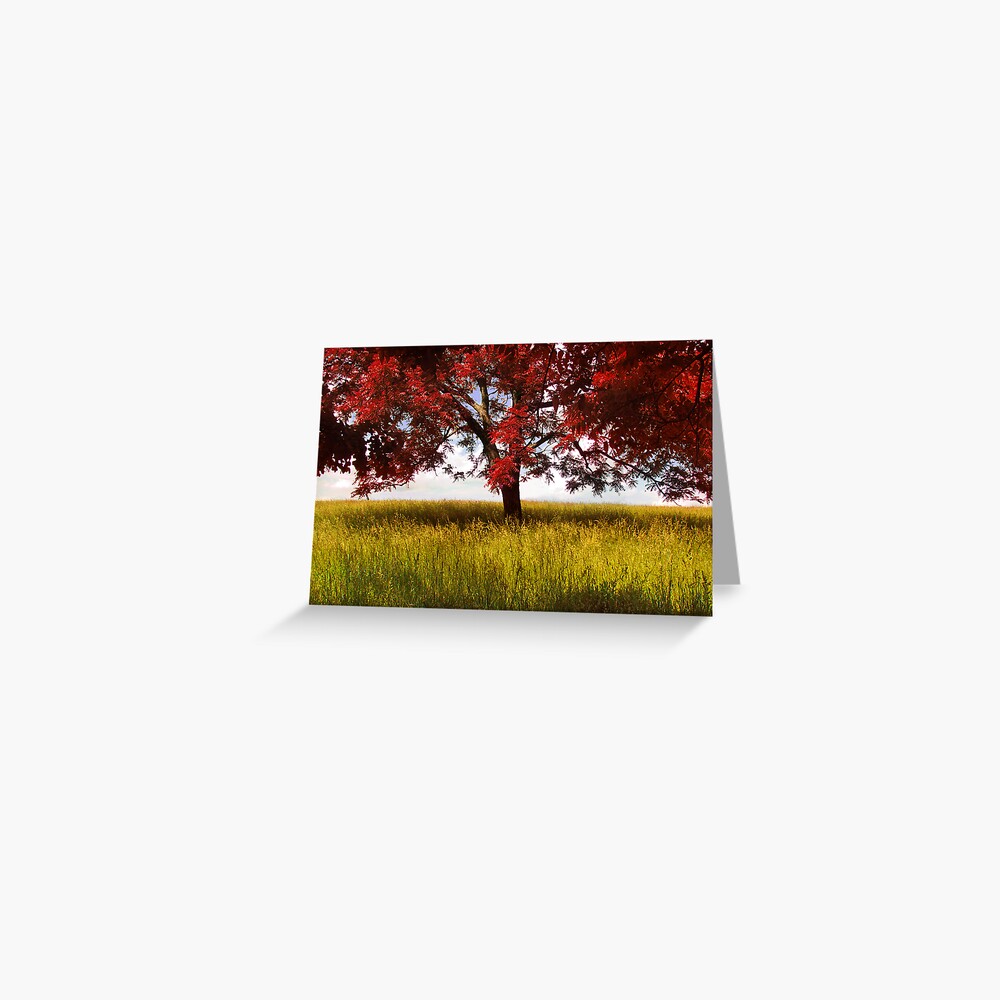 Item preview, Greeting Card designed and sold by believer9.