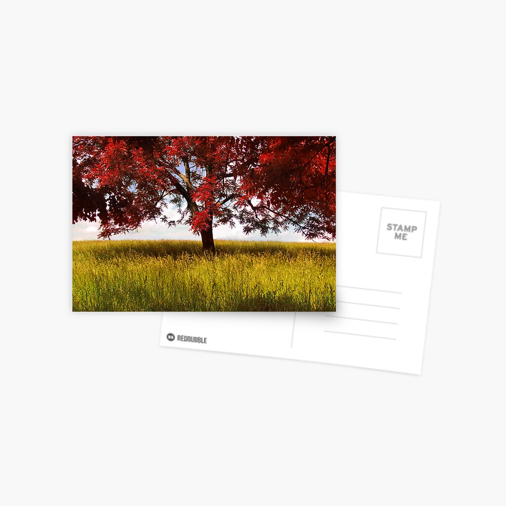 Item preview, Postcard designed and sold by believer9.