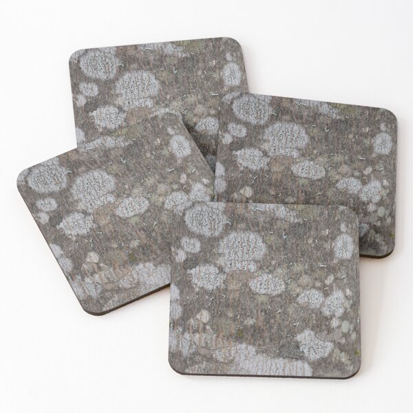 Item preview, A maple bark designed and sold by Claude Laprise.