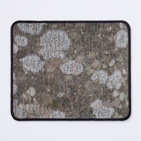 Item preview, A maple bark designed and sold by Claude Laprise.