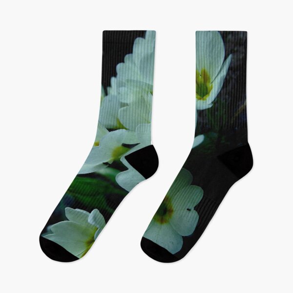 Item preview, When Winter is Over designed and sold by Quoppidou.
