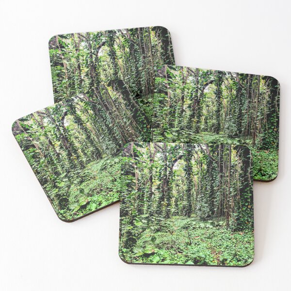 Item preview, Rainforest  designed and sold by Nicklocke20.