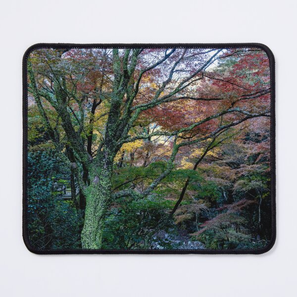 Item preview, Fall in Japan designed and sold by Keola Makaiau.