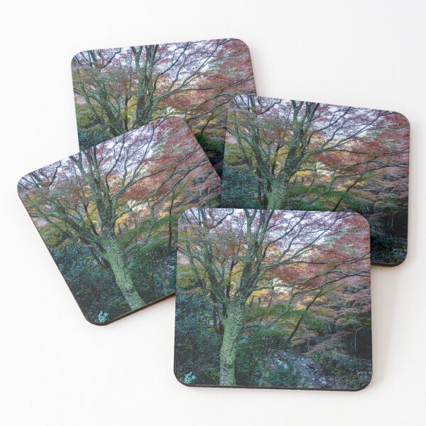 Item preview, Fall in Japan designed and sold by Keola Makaiau.