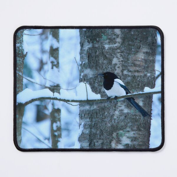 Item preview, Blue winter forest. Eurasian magpie designed and sold by Jouko Lehto Photography.