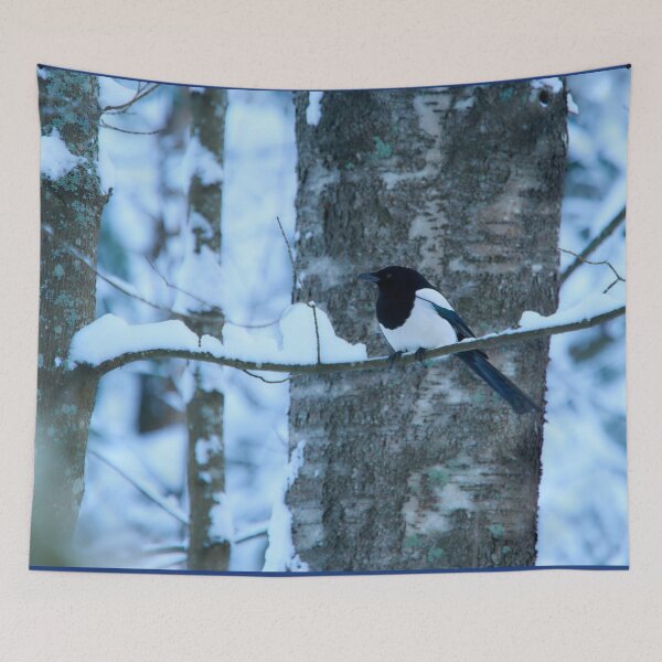 Item preview, Blue winter  forest. Eurasian magpie designed and sold by Jouko Lehto Photography.