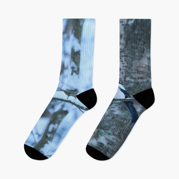 Item preview, Blue winter  forest. Eurasian magpie designed and sold by Jouko Lehto Photography.
