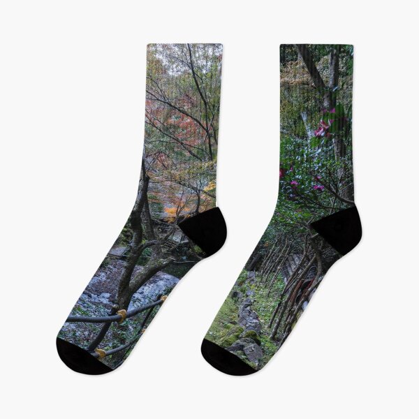 Item preview, Pathway during fall in Japan designed and sold by Keola Makaiau.