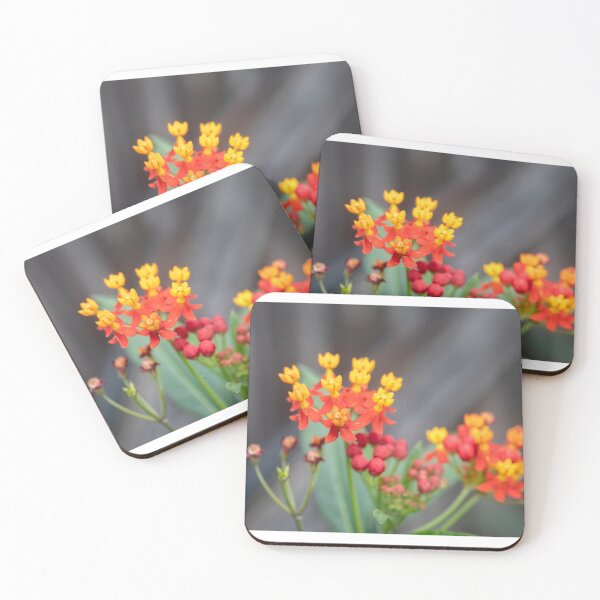 Item preview,  Milkweed Flowers X121 designed and sold by RichFrancoCars.