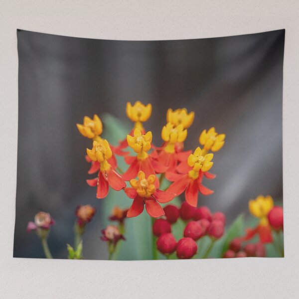 Item preview, Milkweed Flowers X125 designed and sold by RichFrancoCars.