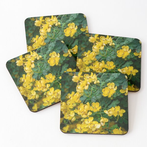 Item preview, Cassia Tree Cassia fistula X111 designed and sold by RichFrancoCars.