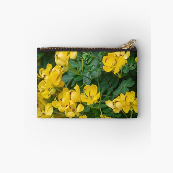 Item preview, Cassia Tree Cassia fistula X111 designed and sold by RichFrancoCars.