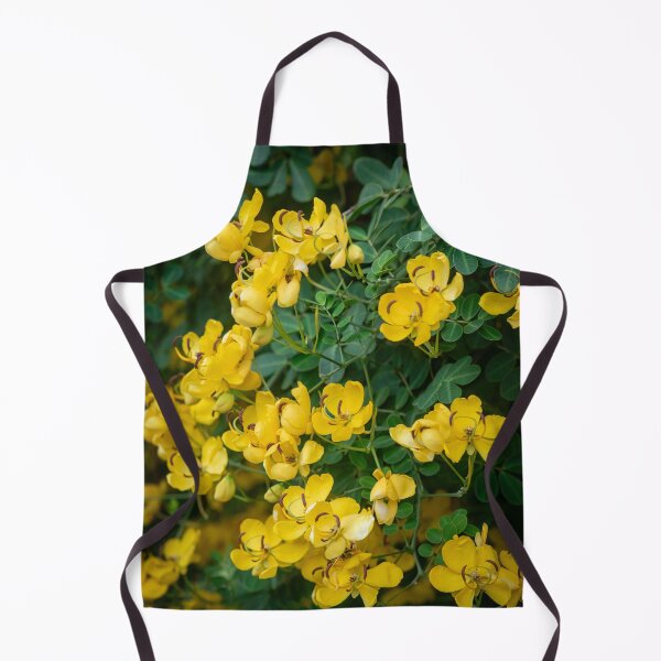 Item preview, Cassia Tree Cassia fistula X111 designed and sold by RichFrancoCars.