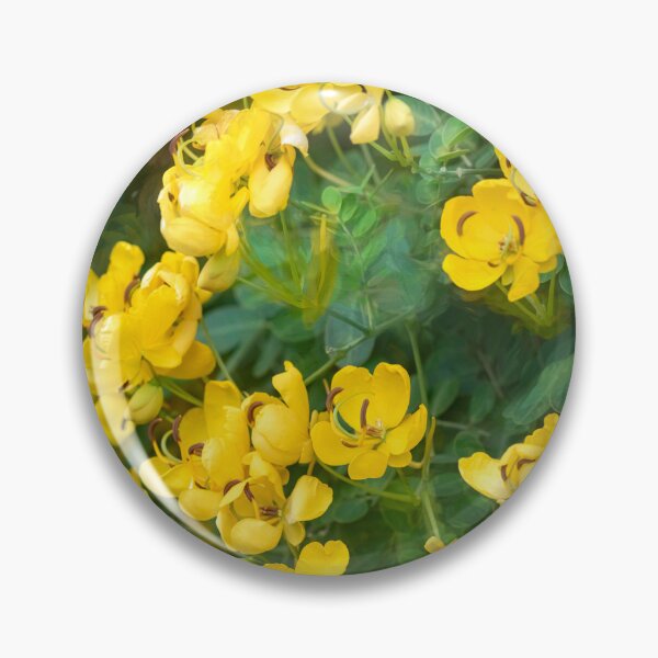 Item preview, Cassia Tree Cassia fistula X113 designed and sold by RichFrancoCars.