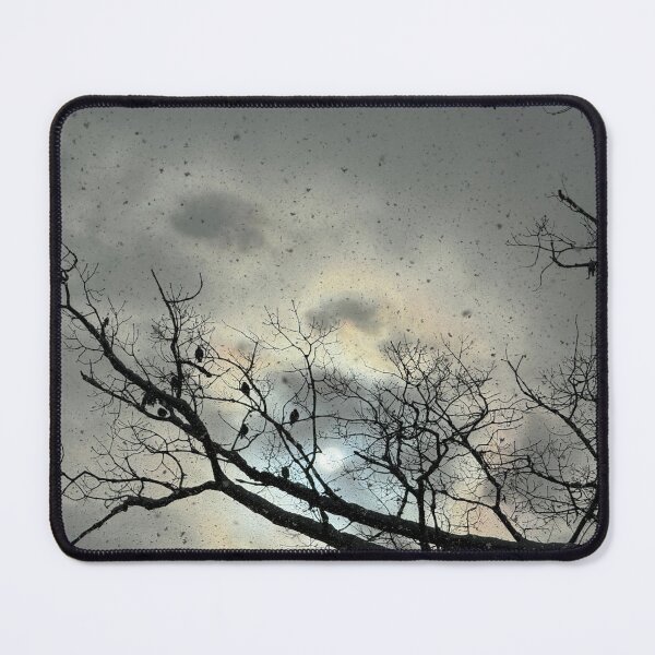 Item preview, Birds in the snow designed and sold by bibiwildstudio.