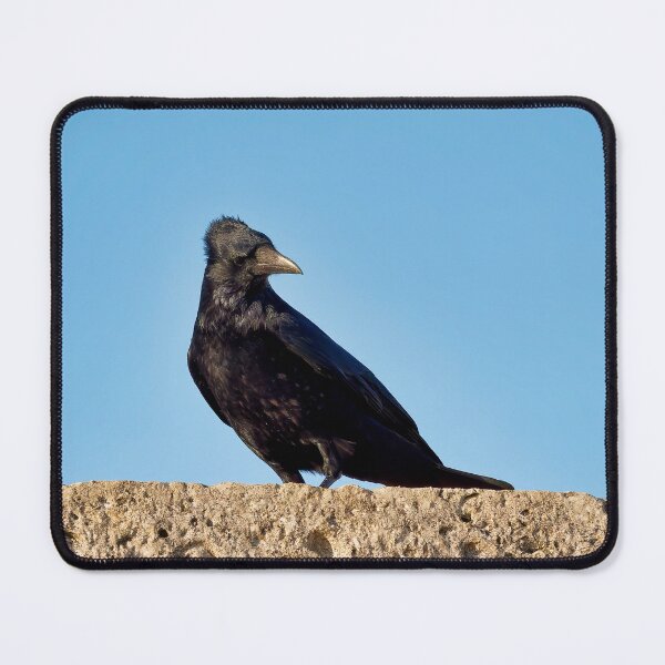 Item preview, Carrion Crow - Corvus corone designed and sold by Dorset Girl.