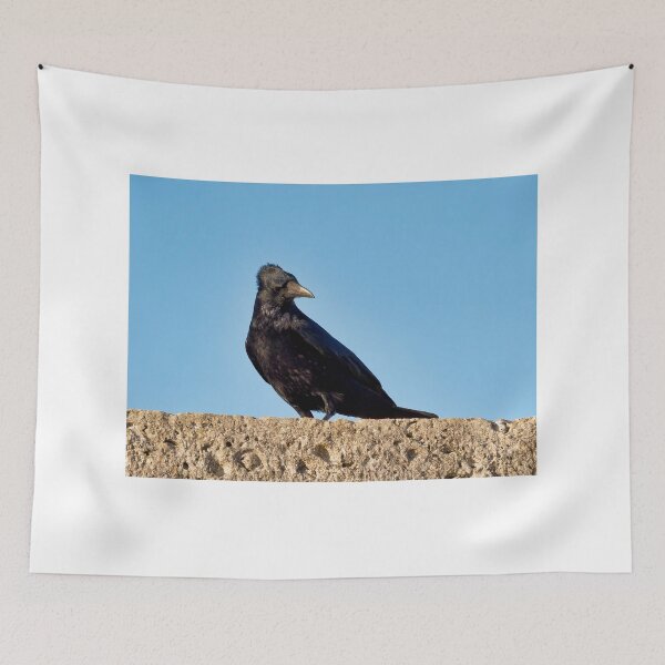 Item preview, Corneja negra - Corvus corone designed and sold by Dorset Girl.