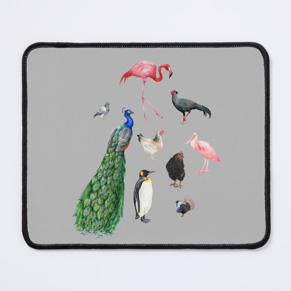 Item preview, Game Changer Birds designed and sold by Cat00Tome.