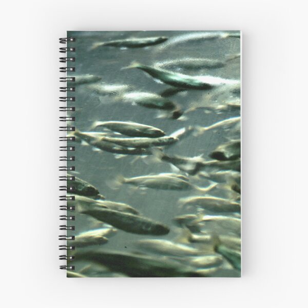 Item preview, Flow with the Flow: BDCK designed and sold by ArtMat.