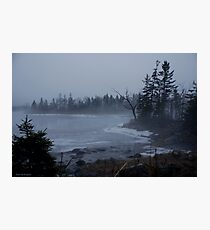 Winter Fog Photographic Print