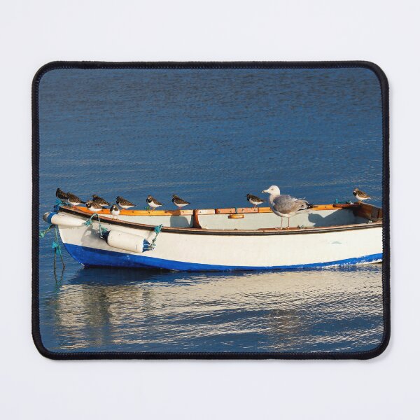Item preview, Gull and Turnstones on Anchored Skiff designed and sold by Dorset Girl.
