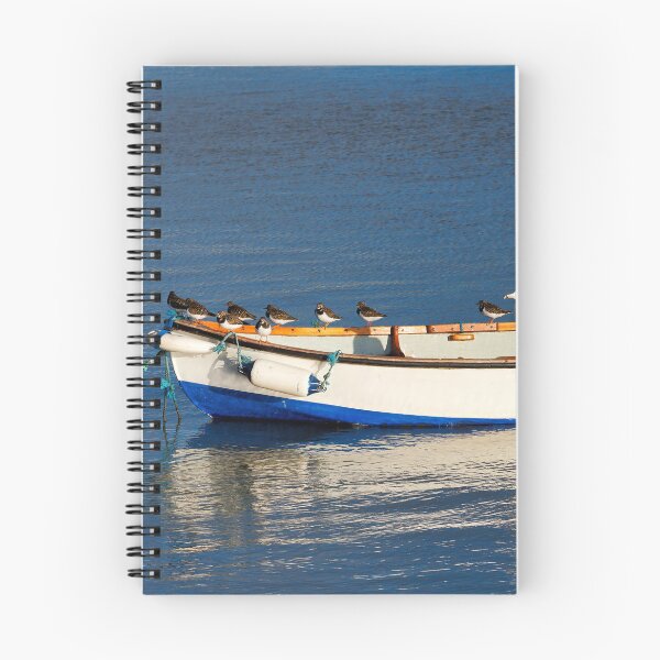 Item preview, Gull and Turnstones on Anchored Skiff designed and sold by Dorset Girl.