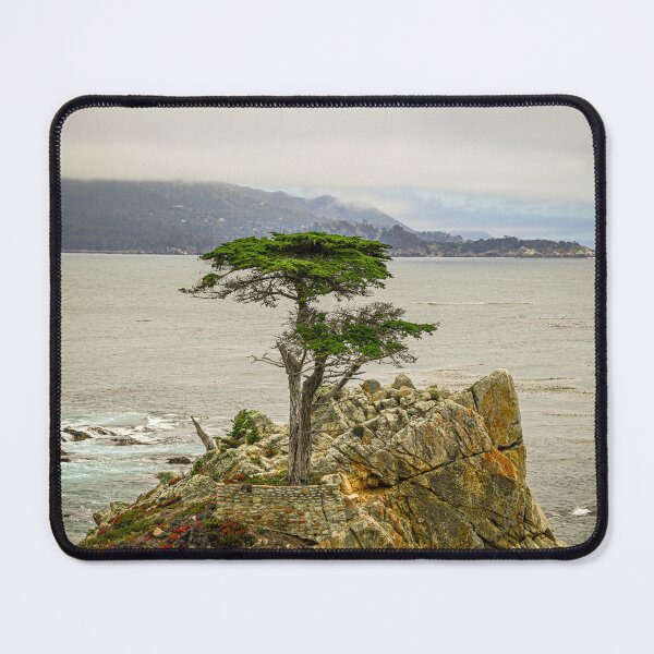 Item preview, Lone Cypress designed and sold by Craig Bernstein.