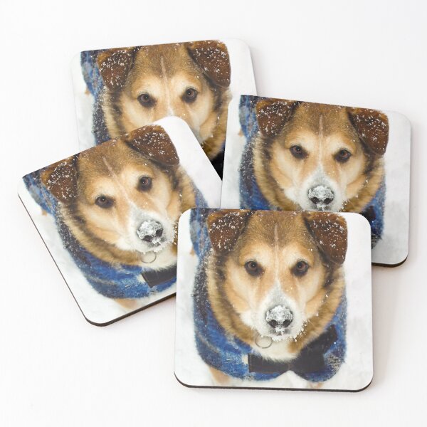 Item preview, Adorable Andy with snow on his nose designed and sold by ncNatureVisions.