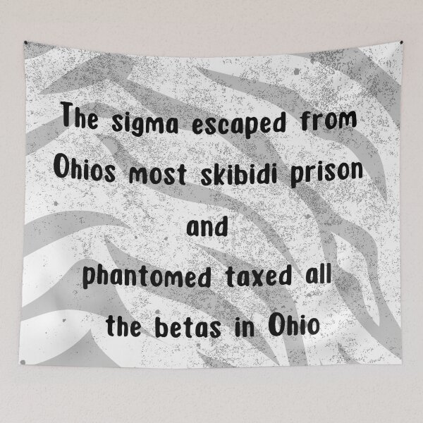 Item preview, Skibidi, sigma, Ohio, phantom taxed, betas designed and sold by Add2crt.