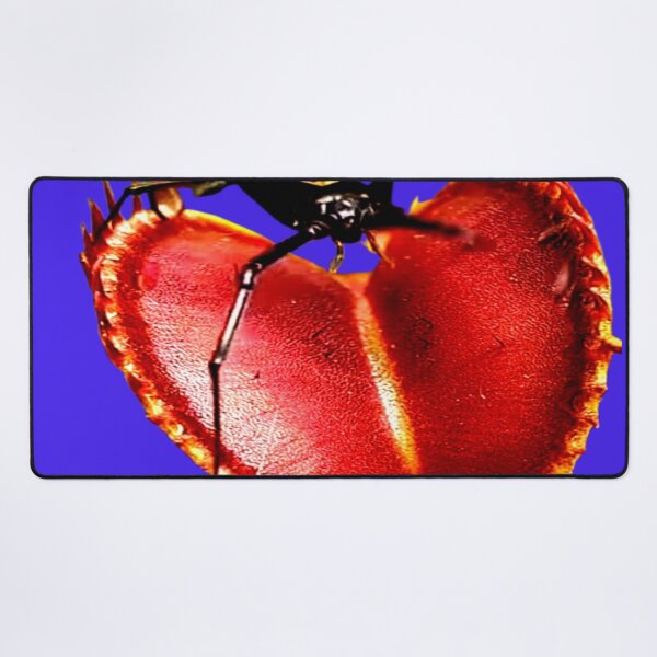 Item preview, Venus Fly Trap Artwork designed and sold by 3triadstore.